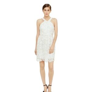 Club Monaco - Doina Cream and Gold Lace Eyelet Mini Dress